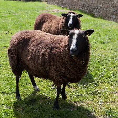 Hébergement de vacances 1 Bed In Masham G0089