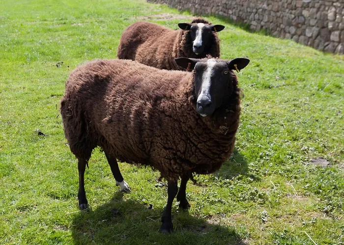 Ferienhaus 1 Bed In Masham G0089